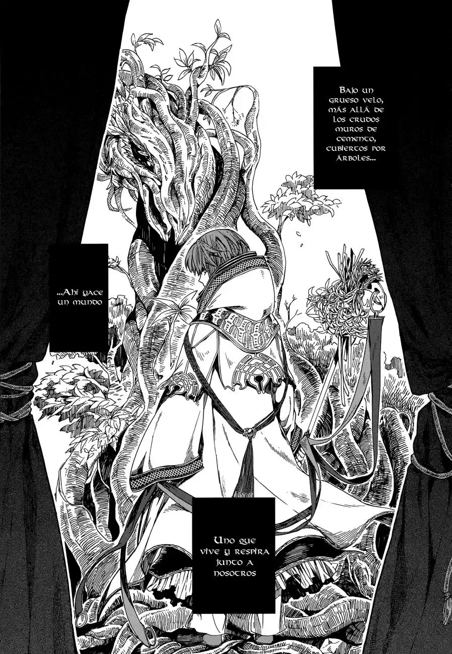 Mahoutsukai no Yome Capítulo 1 - Page 8