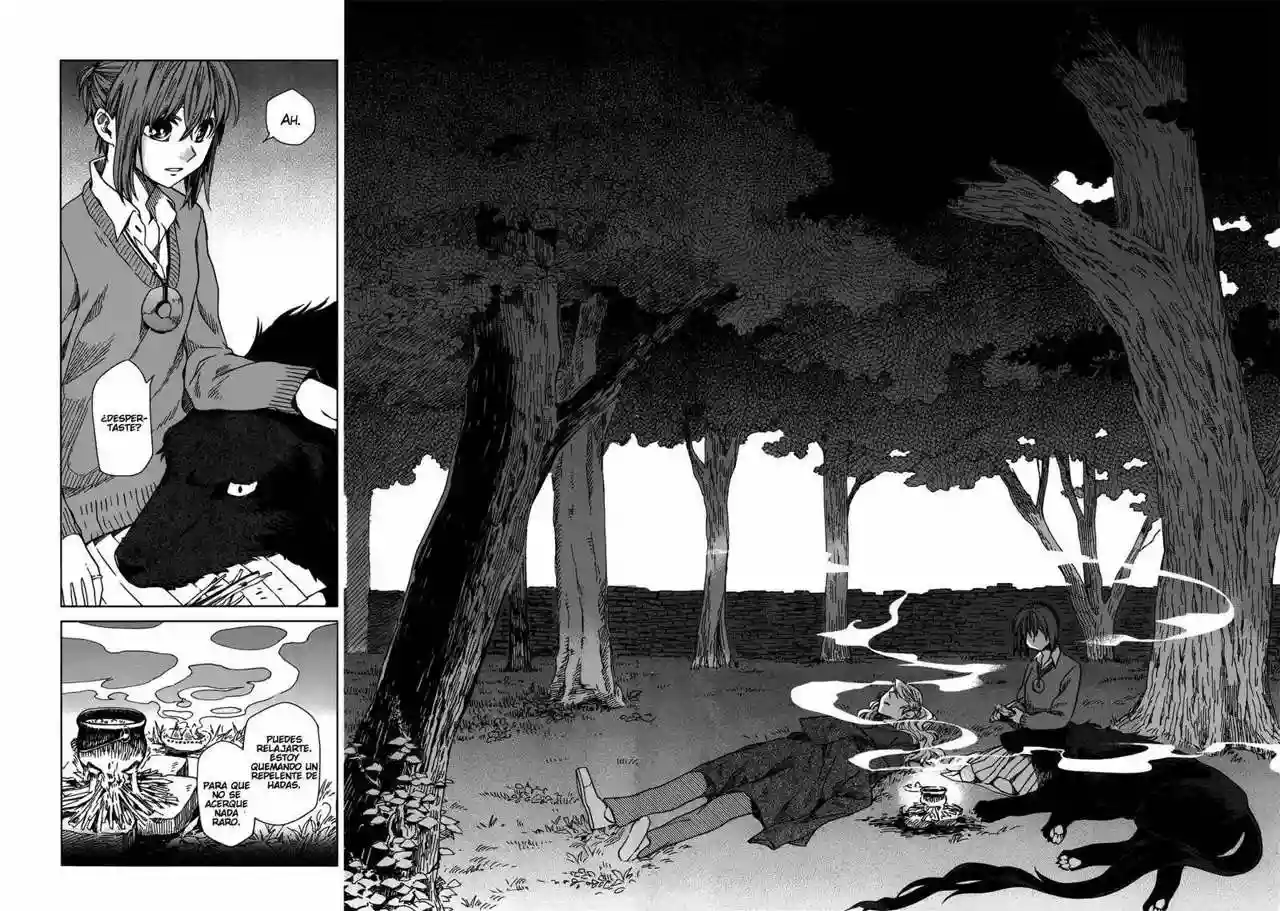 Mahoutsukai no Yome Capítulo 10 - Page 12