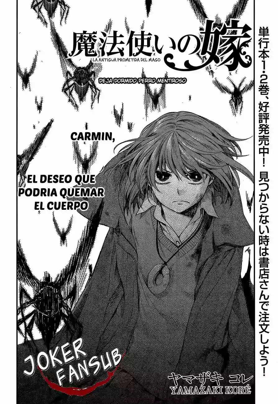 Mahoutsukai no Yome Capítulo 12 - Page 3