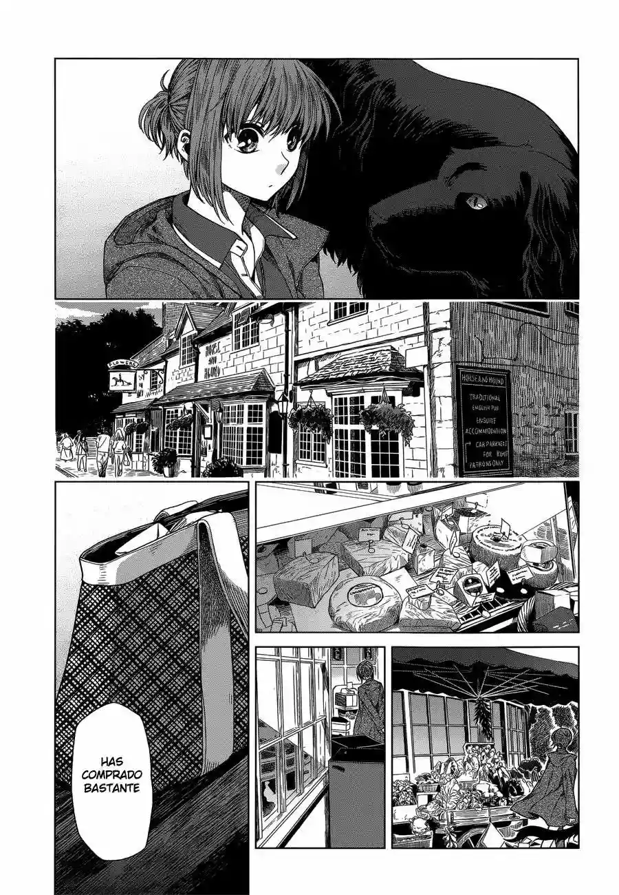 Mahoutsukai no Yome Capítulo 13 - Page 12