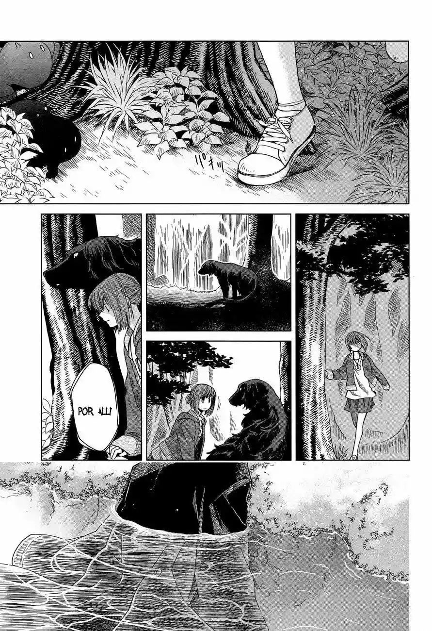 Mahoutsukai no Yome Capítulo 14 - Page 31