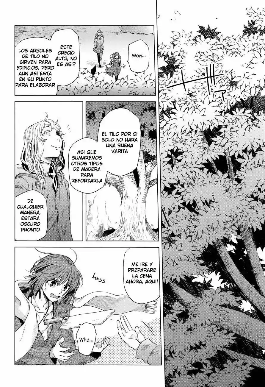 Mahoutsukai no Yome Capítulo 15 - Page 17