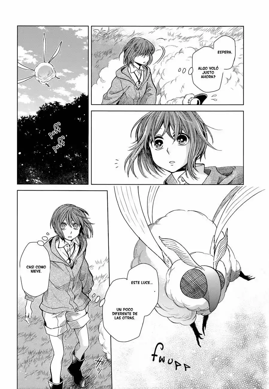 Mahoutsukai no Yome Capítulo 19 - Page 13