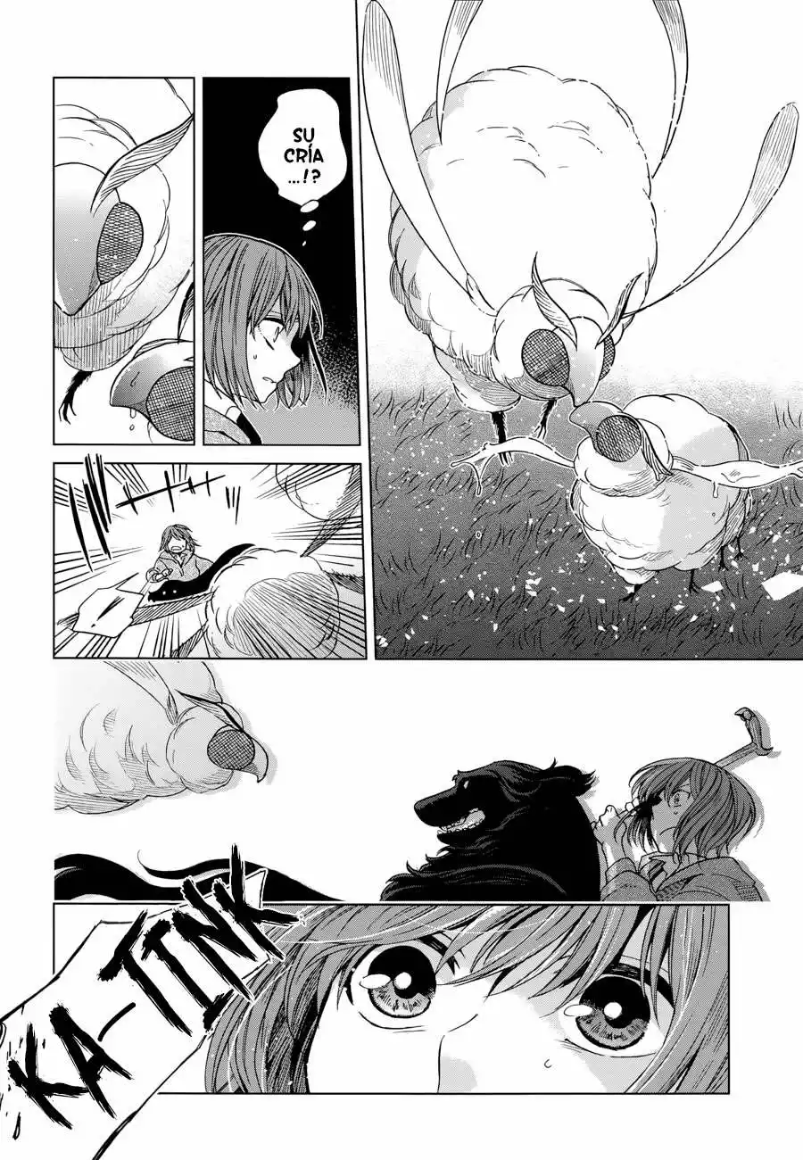 Mahoutsukai no Yome Capítulo 19 - Page 17
