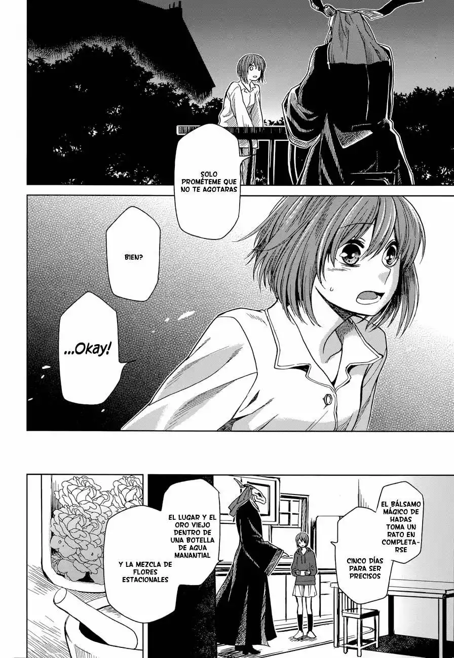 Mahoutsukai no Yome Capítulo 21 - Page 25