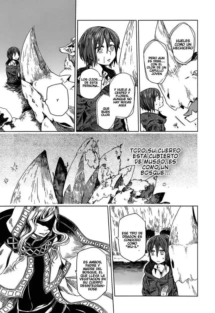 Mahoutsukai no Yome Capítulo 3 - Page 19