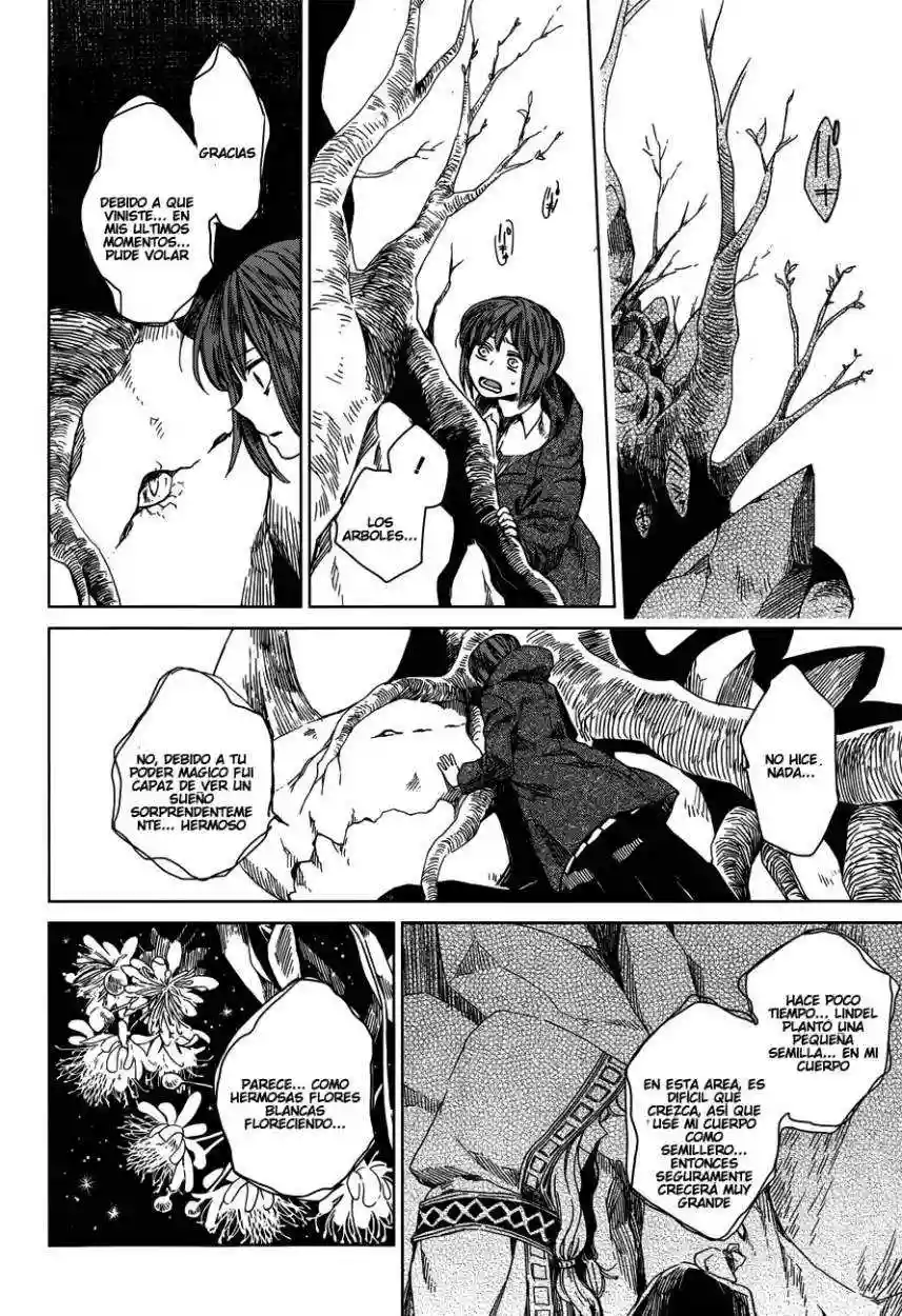 Mahoutsukai no Yome Capítulo 3 - Page 33