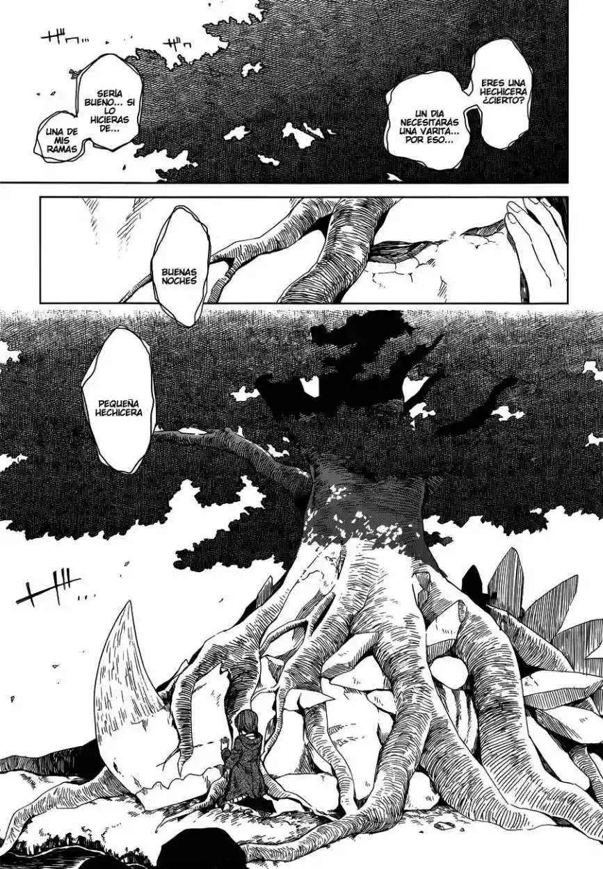Mahoutsukai no Yome Capítulo 3 - Page 34