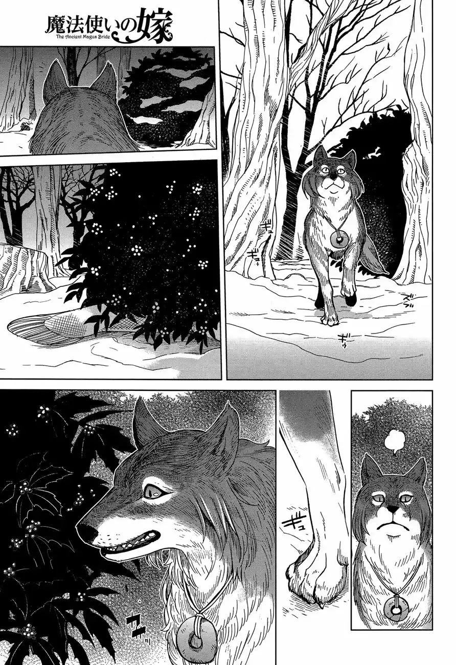 Mahoutsukai no Yome Capítulo 30 - Page 26