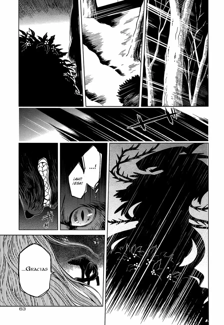 Mahoutsukai no Yome Capítulo 31 - Page 15