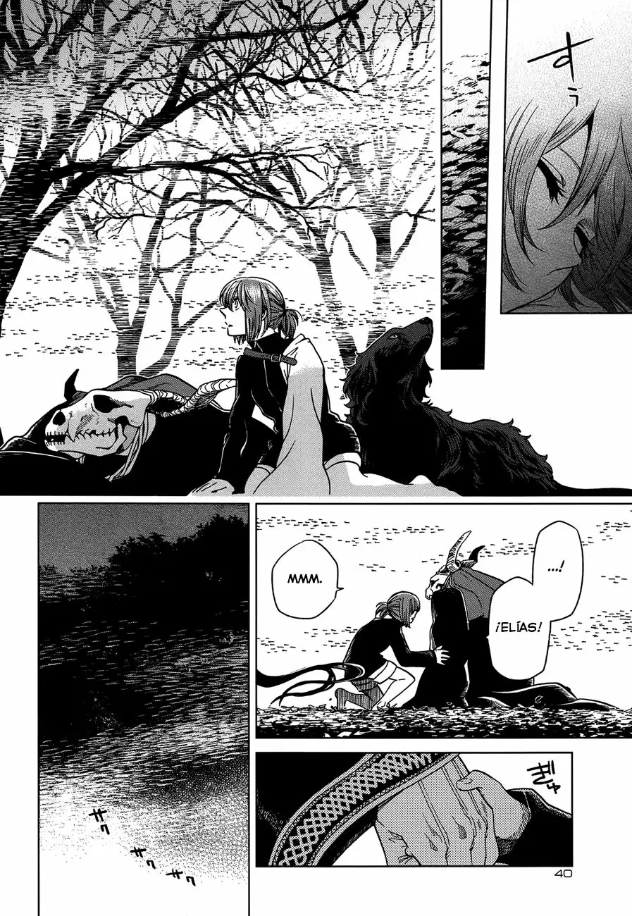 Mahoutsukai no Yome Capítulo 38 - Page 12
