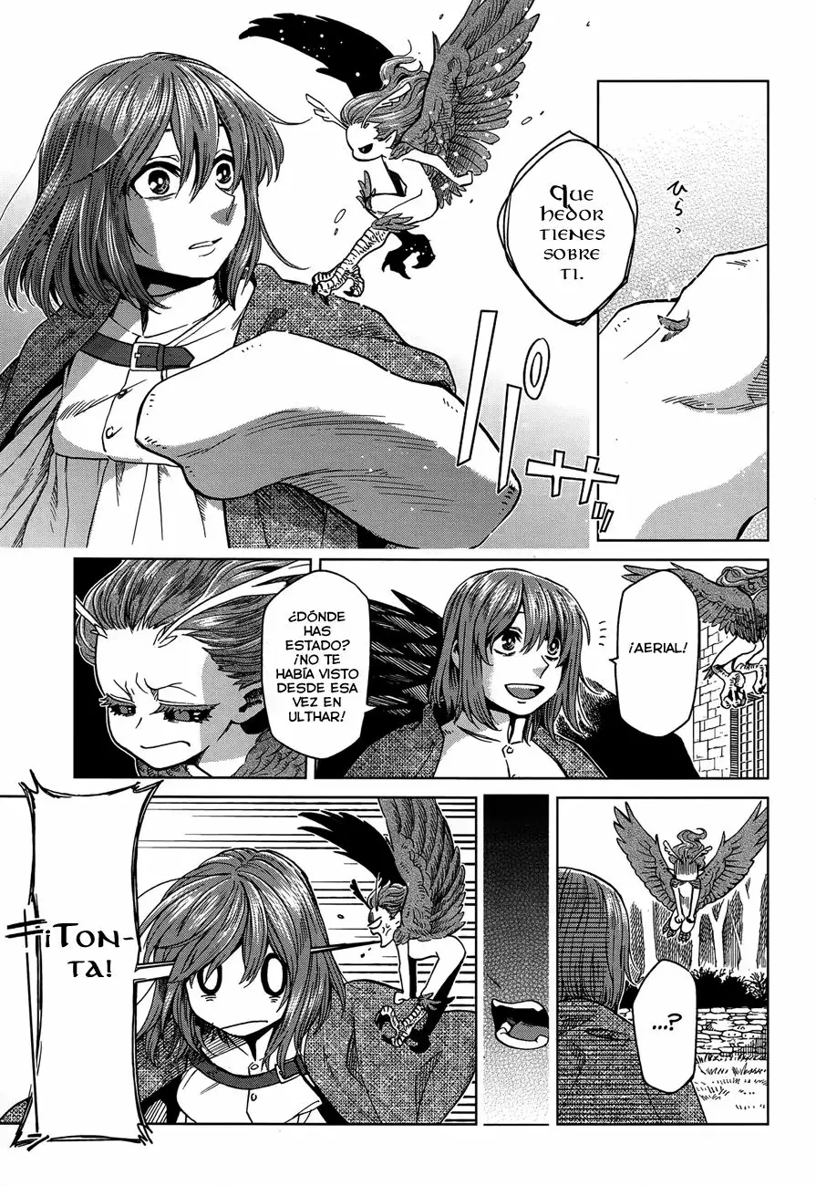 Mahoutsukai no Yome Capítulo 39 - Page 27
