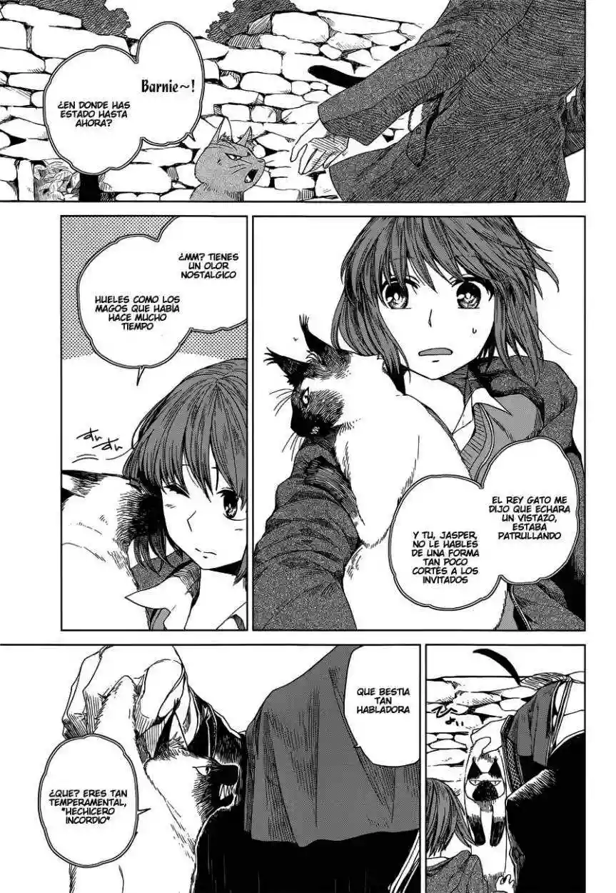 Mahoutsukai no Yome Capítulo 4 - Page 10
