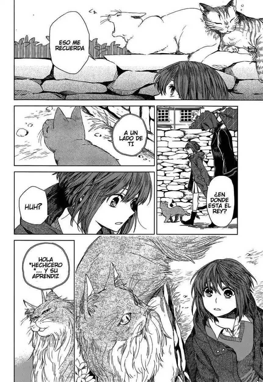 Mahoutsukai no Yome Capítulo 4 - Page 13