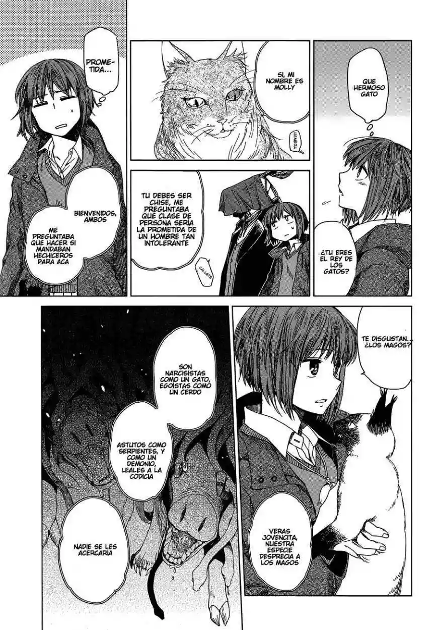 Mahoutsukai no Yome Capítulo 4 - Page 14