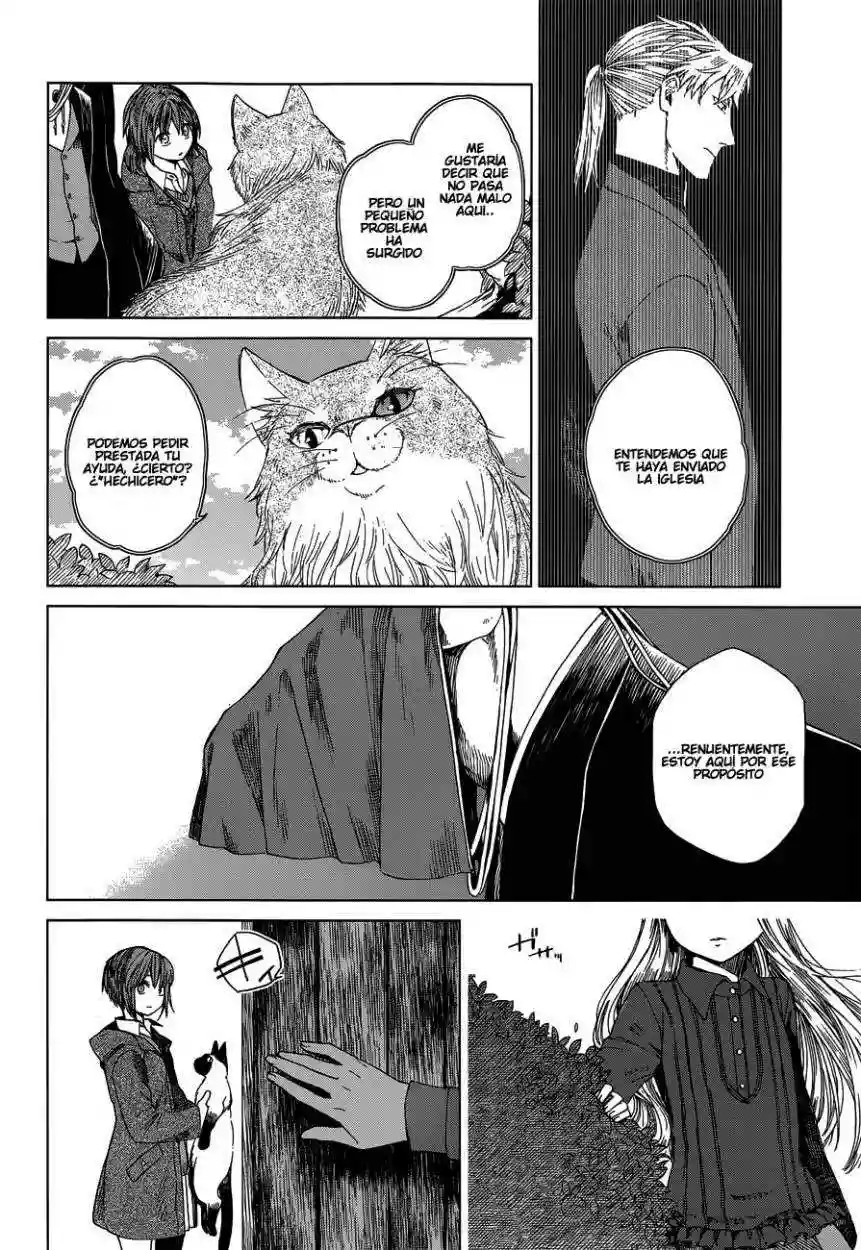 Mahoutsukai no Yome Capítulo 4 - Page 15
