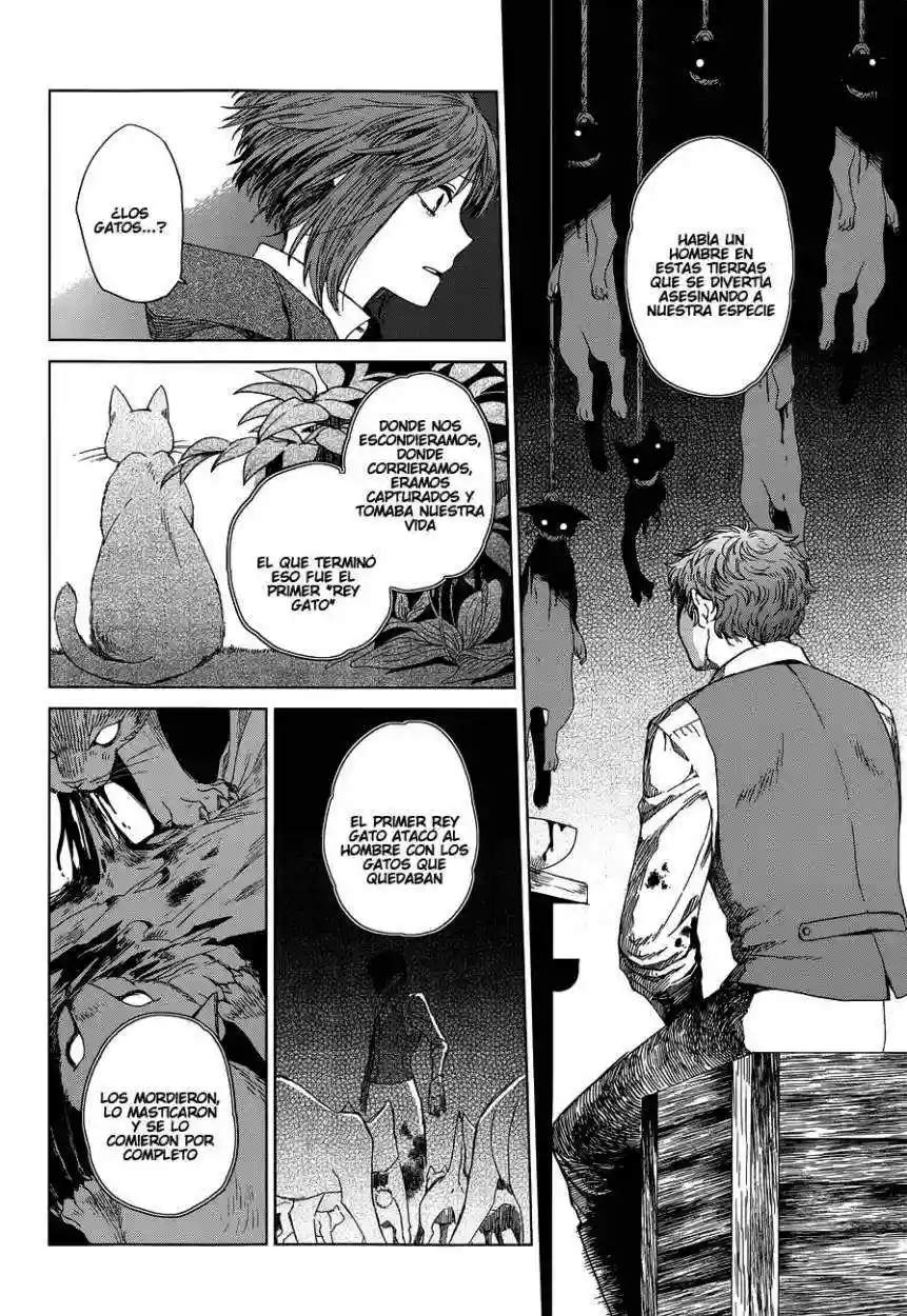 Mahoutsukai no Yome Capítulo 4 - Page 19