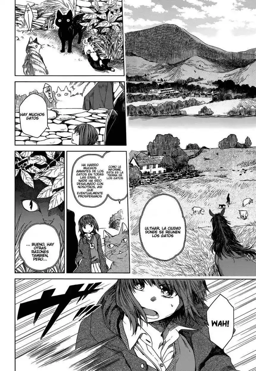 Mahoutsukai no Yome Capítulo 4 - Page 9