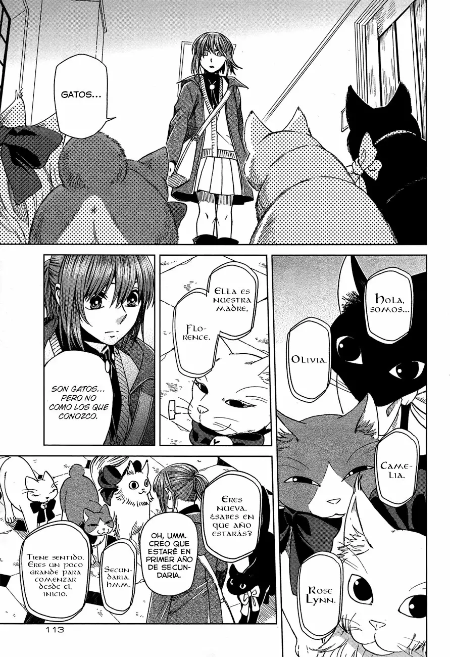 Mahoutsukai no Yome Capítulo 47 - Page 3