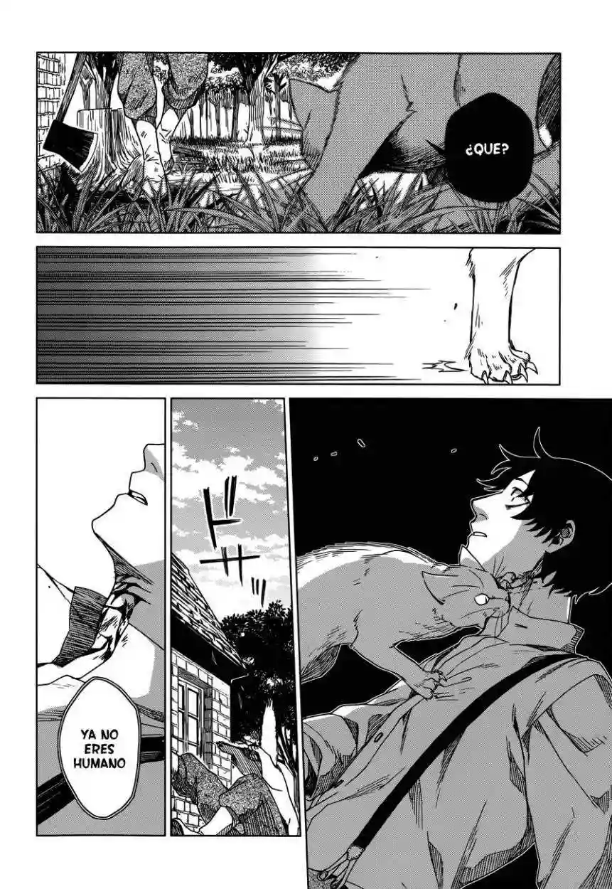 Mahoutsukai no Yome Capítulo 7 - Page 13