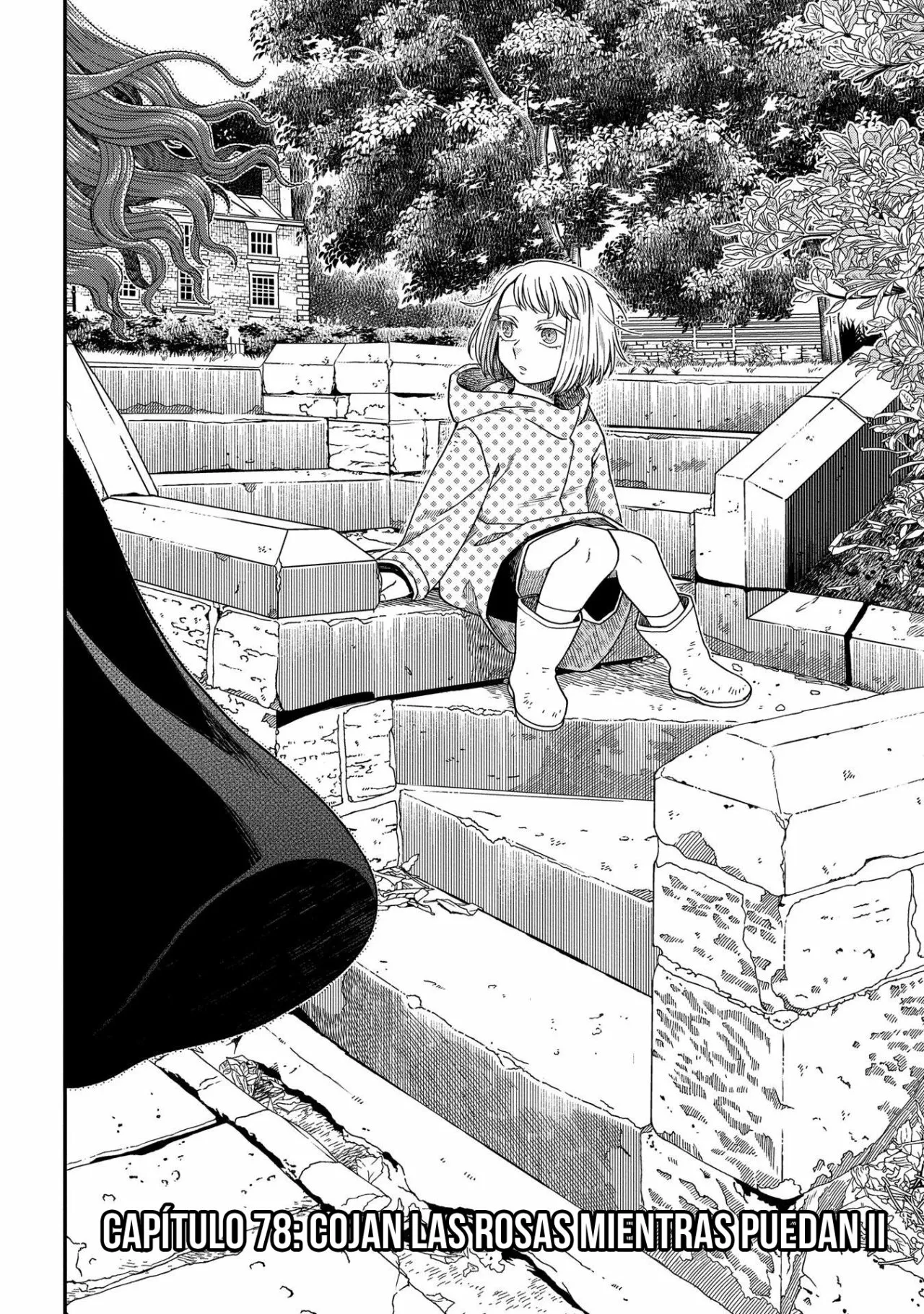 Mahoutsukai no Yome Capítulo 78 - Page 6