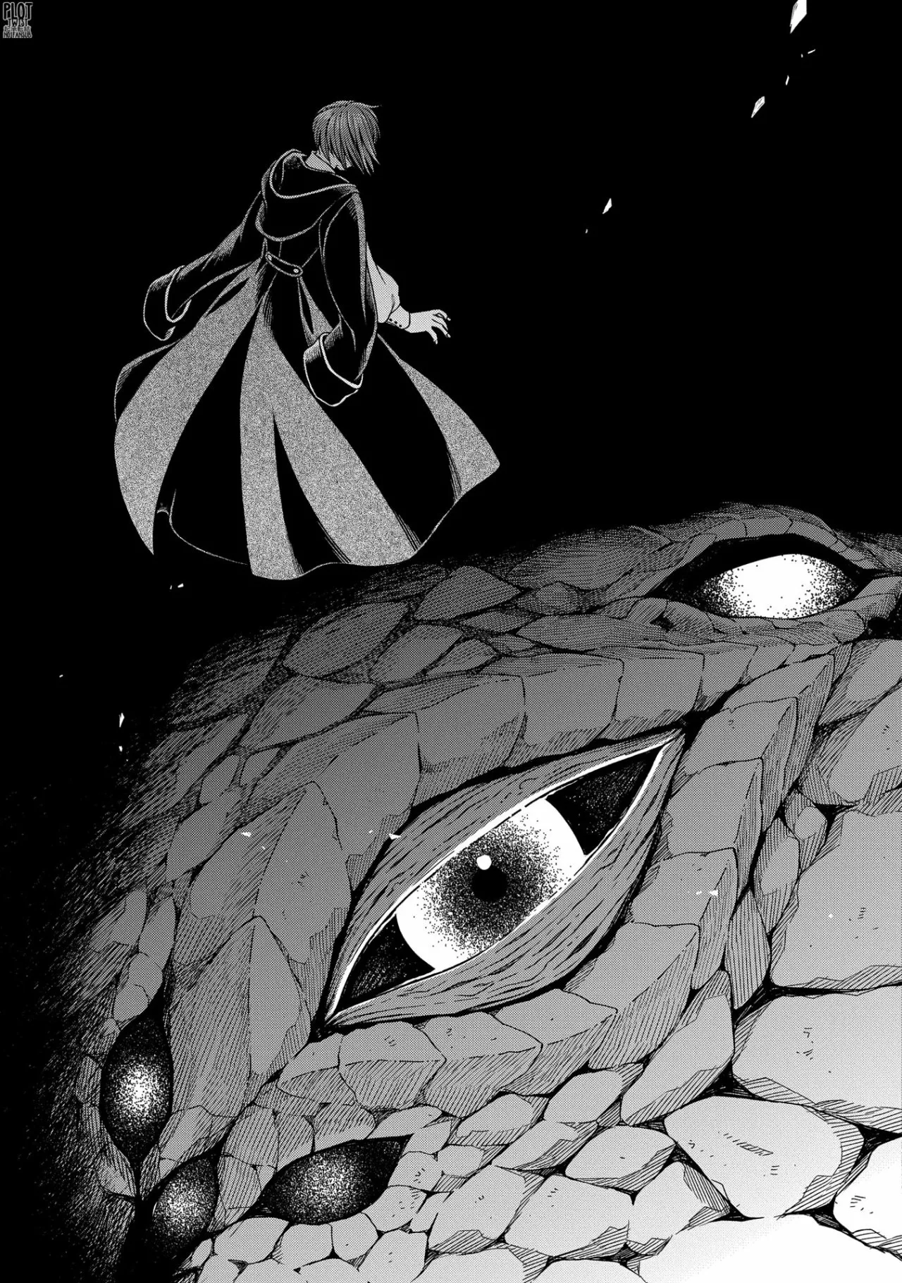 Mahoutsukai no Yome Capítulo 81 - Page 42