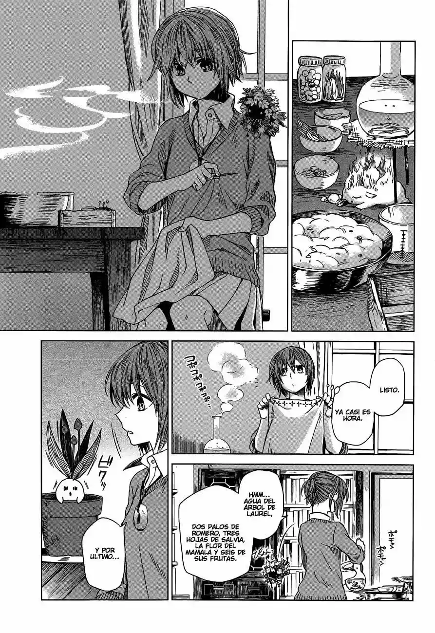 Mahoutsukai no Yome Capítulo 9 - Page 4