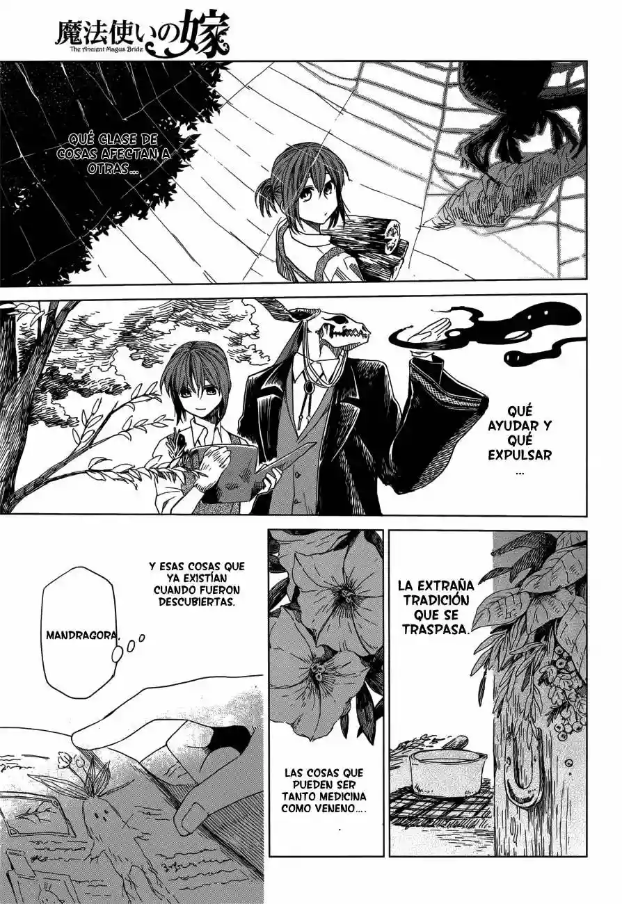 Mahoutsukai no Yome Capítulo 9 - Page 8