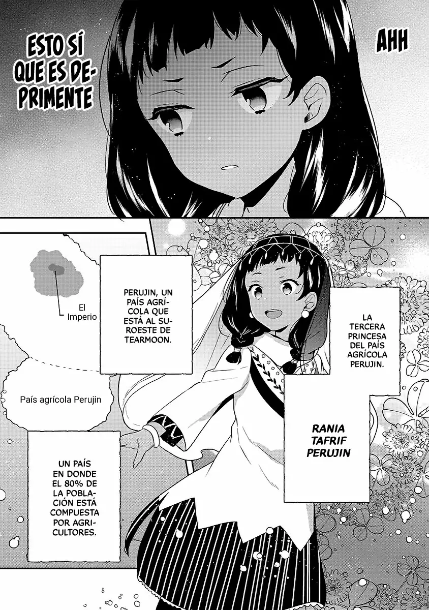Tearmoon Teikoku Monogatari: Dantoudai kara Hajimaru, Hime no Tensei Gyakuten Story Capítulo 13.1 - Page 10