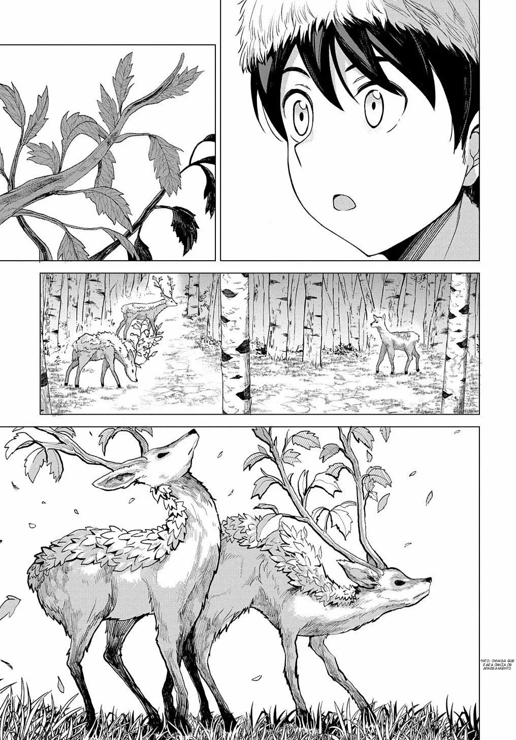 Hokkaidou no Geneki Hunter ga Isekai ni Hourikoma Rete Mita – Elf Yome to Meguru Isekai Shuryou Life Capítulo 6.3 - Page 8