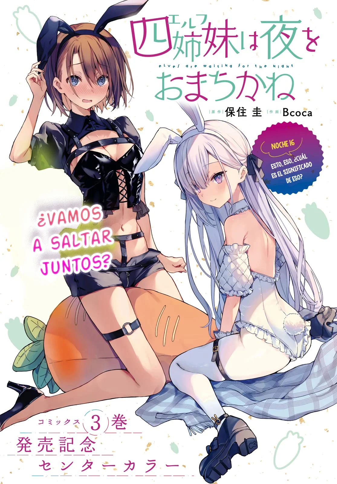 Yonshimai wa Yoru wo Omachikane Capítulo 16 - Page 2