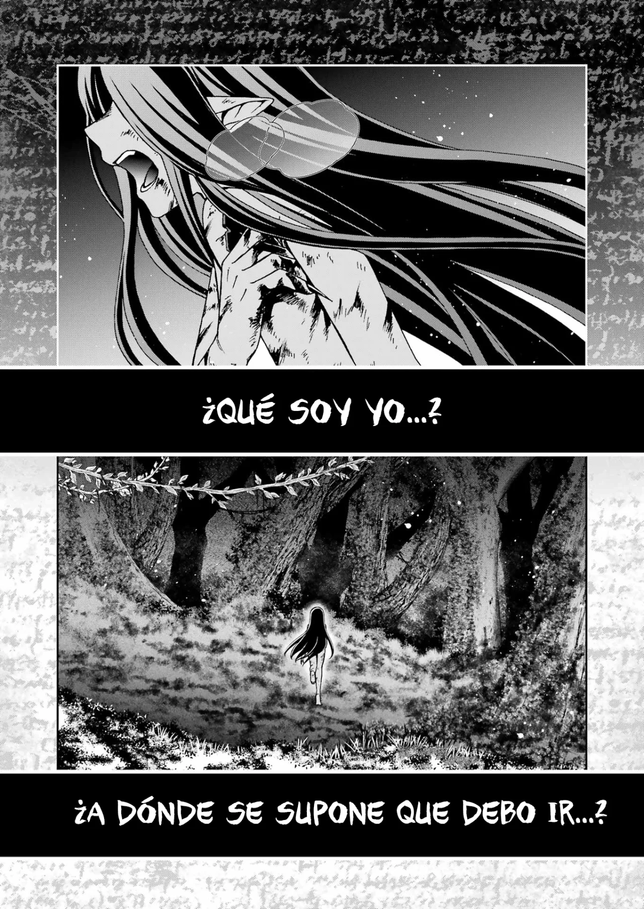 Dungeon ni Deai wo Motomeru no wa Machigatteiru Darou ka II Capítulo 57 - Page 4