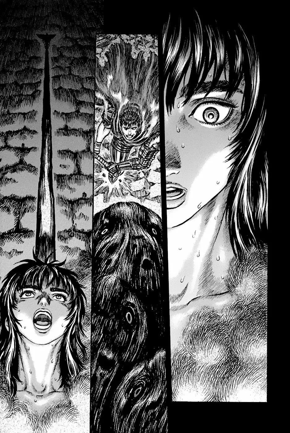 Berserk Capítulo 166 - Page 17