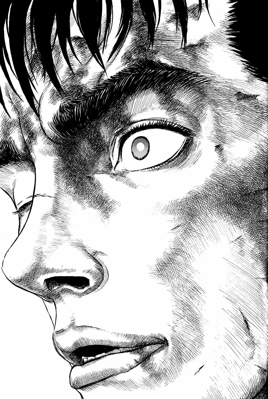 Berserk Capítulo 175 - Page 2