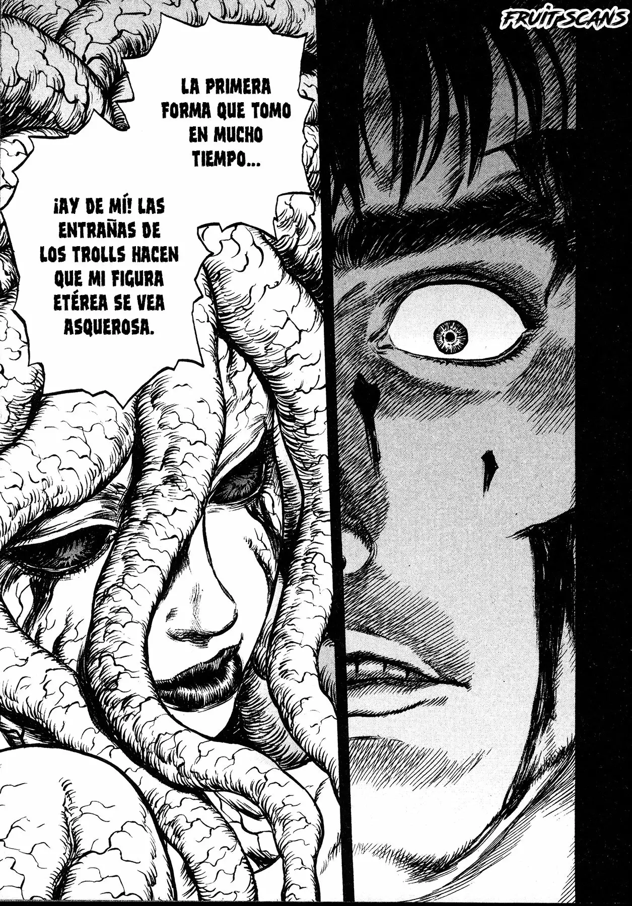 Berserk Capítulo 219 - Page 13