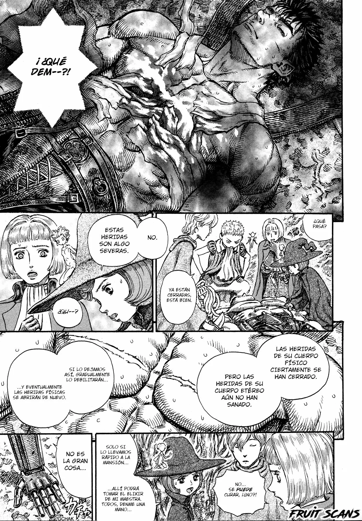 Berserk Capítulo 222 - Page 14