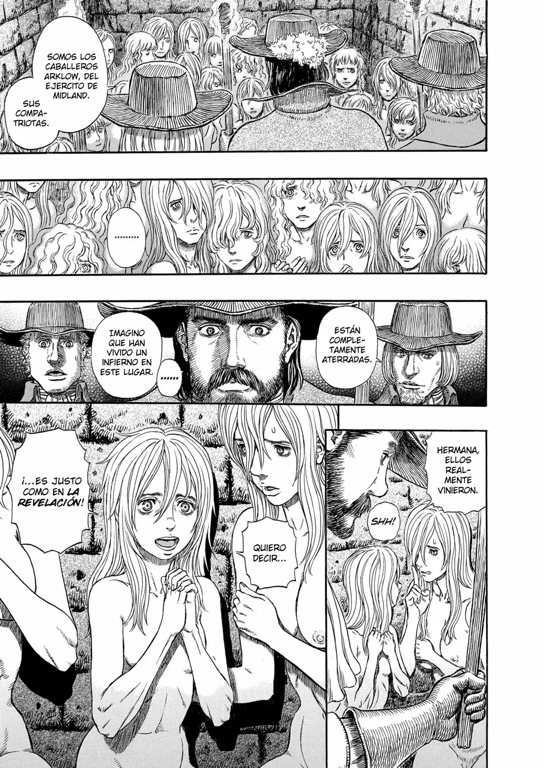 Berserk Capítulo 293 - Page 13