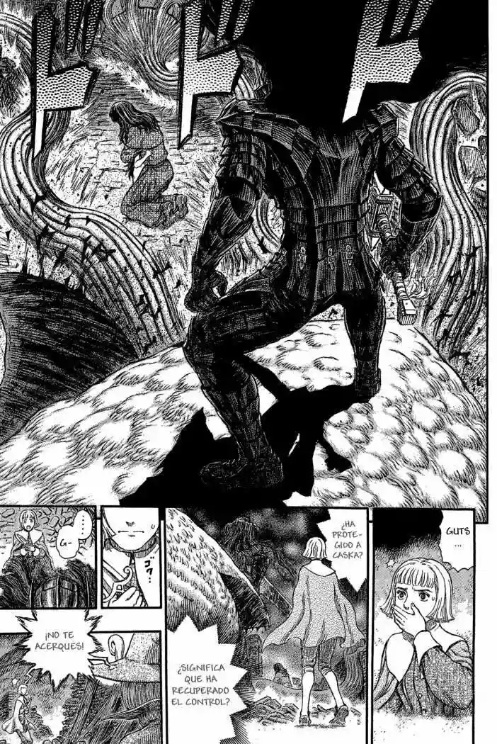 Berserk Capítulo 316 - Page 17
