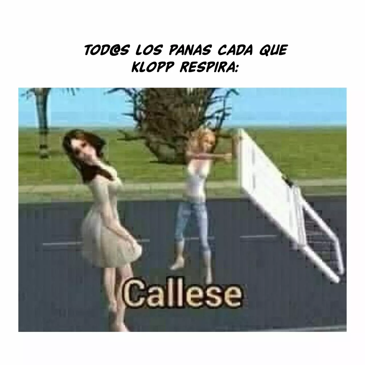 Jardín de Rosas Capítulo 12 - Page 21