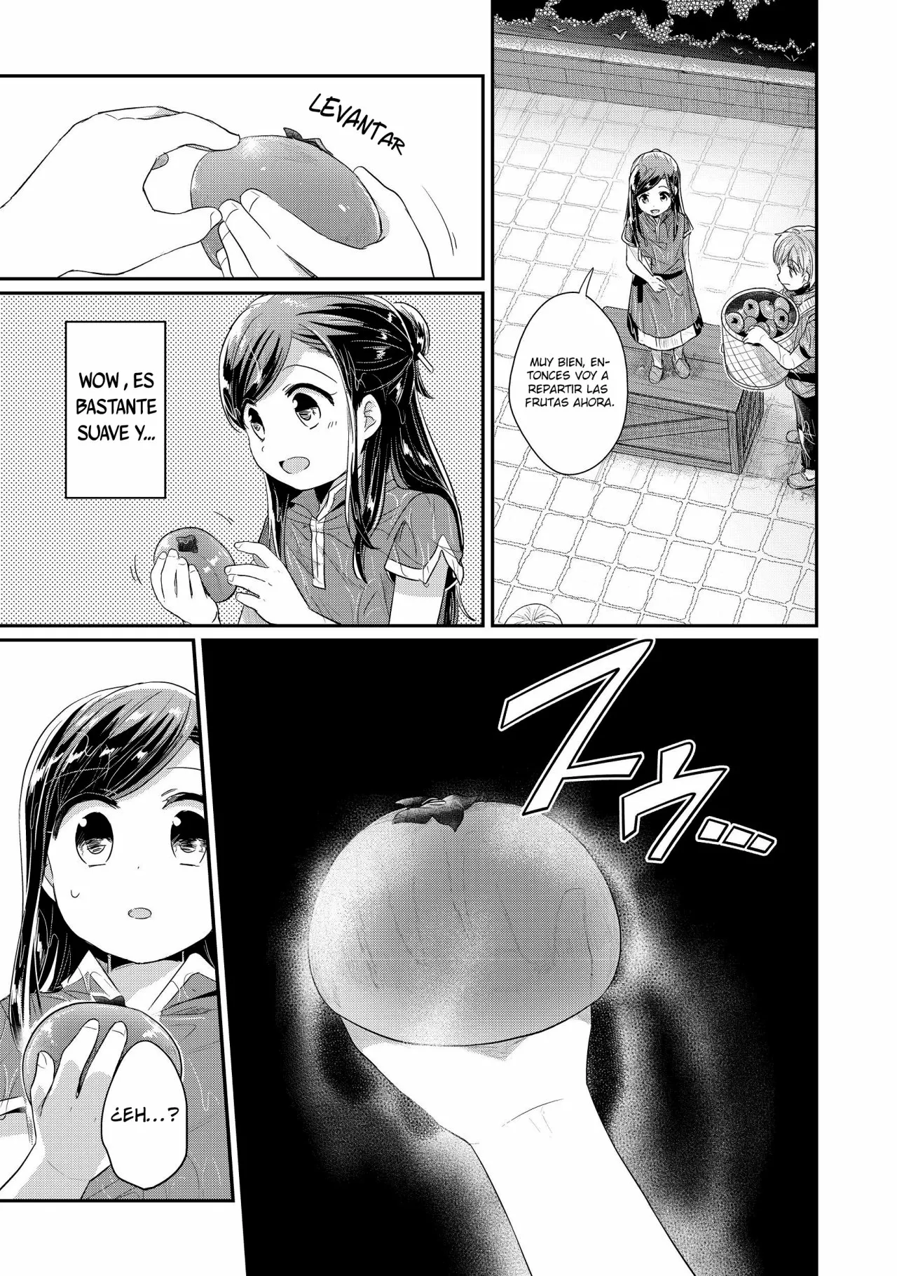 Honzuki no Gekokujou: Shisho ni Naru Tame ni wa Shudan wo Erandeiraremasen Dai 2-bu – Hon no Tame nara Miko ni Naru! Capítulo 15 - Page 17