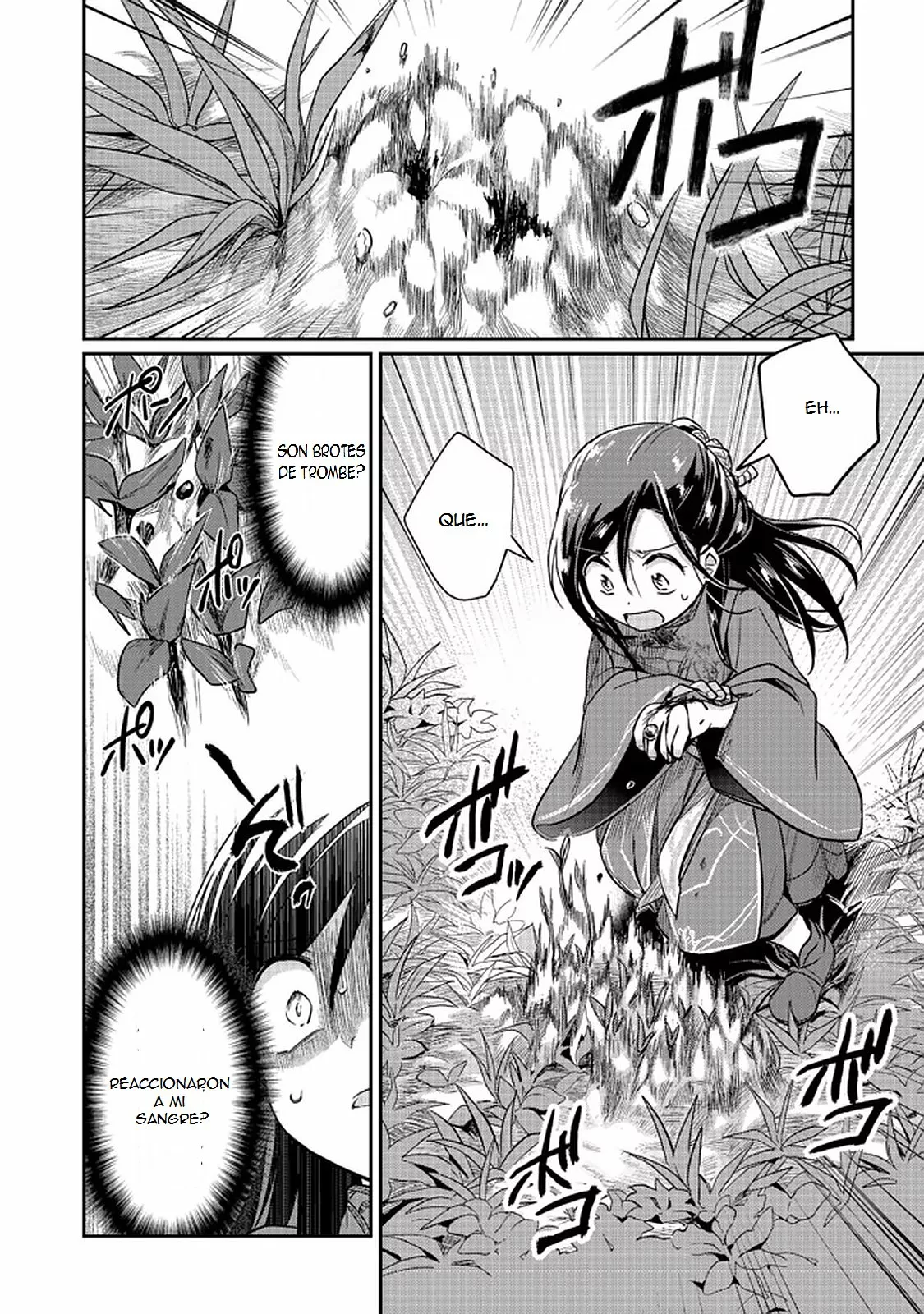 Honzuki no Gekokujou: Shisho ni Naru Tame ni wa Shudan wo Erandeiraremasen Dai 2-bu – Hon no Tame nara Miko ni Naru! Capítulo 35.2 - Page 10