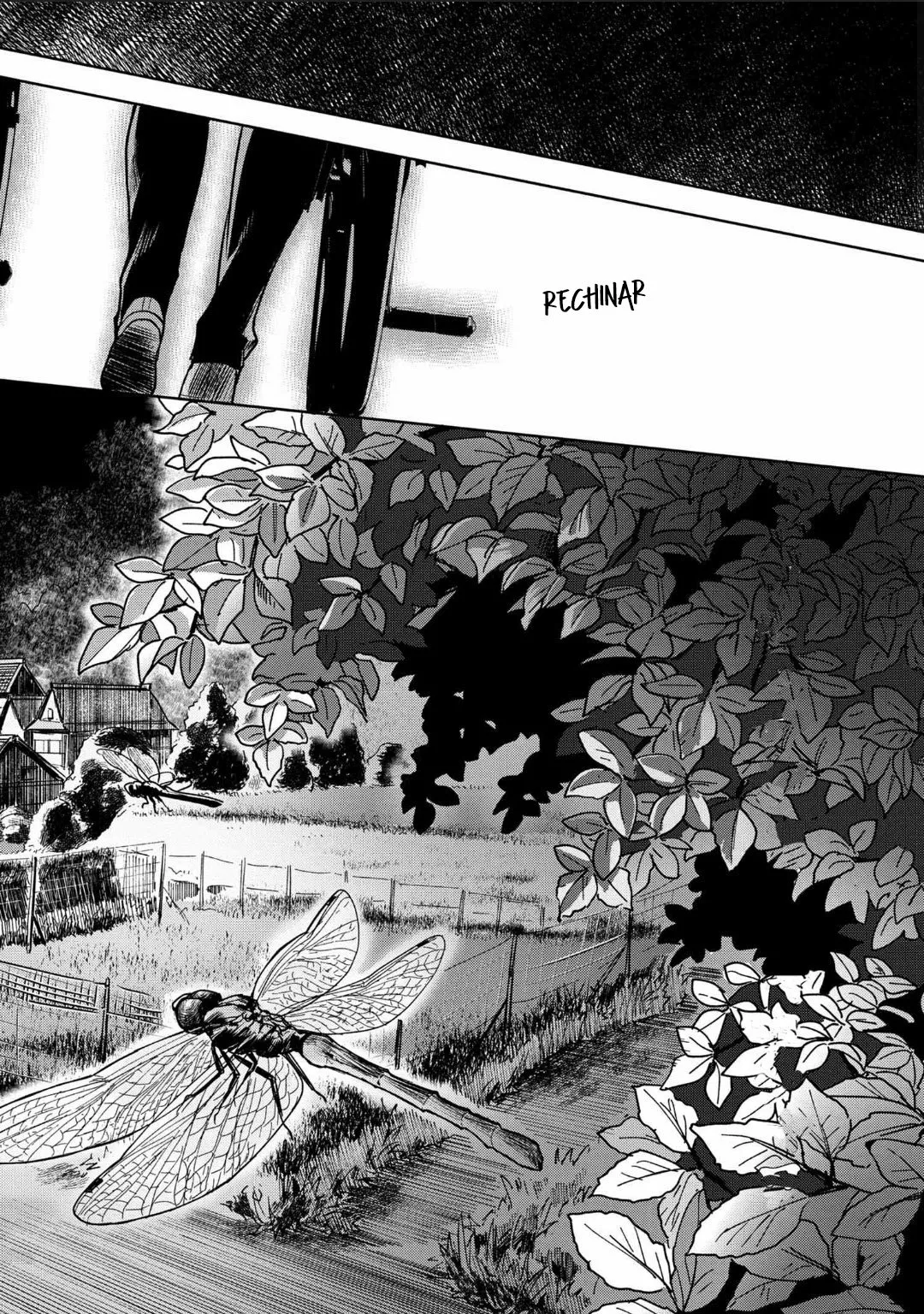 Hikaru ga Shinda Natsu Capítulo 2 - Page 14