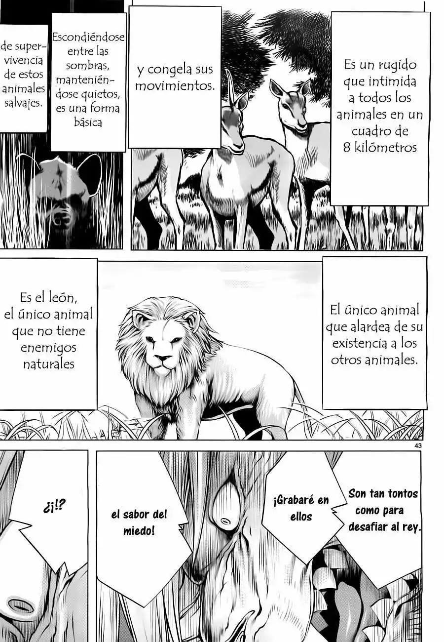 Killing Bites Capítulo 1 - Page 41