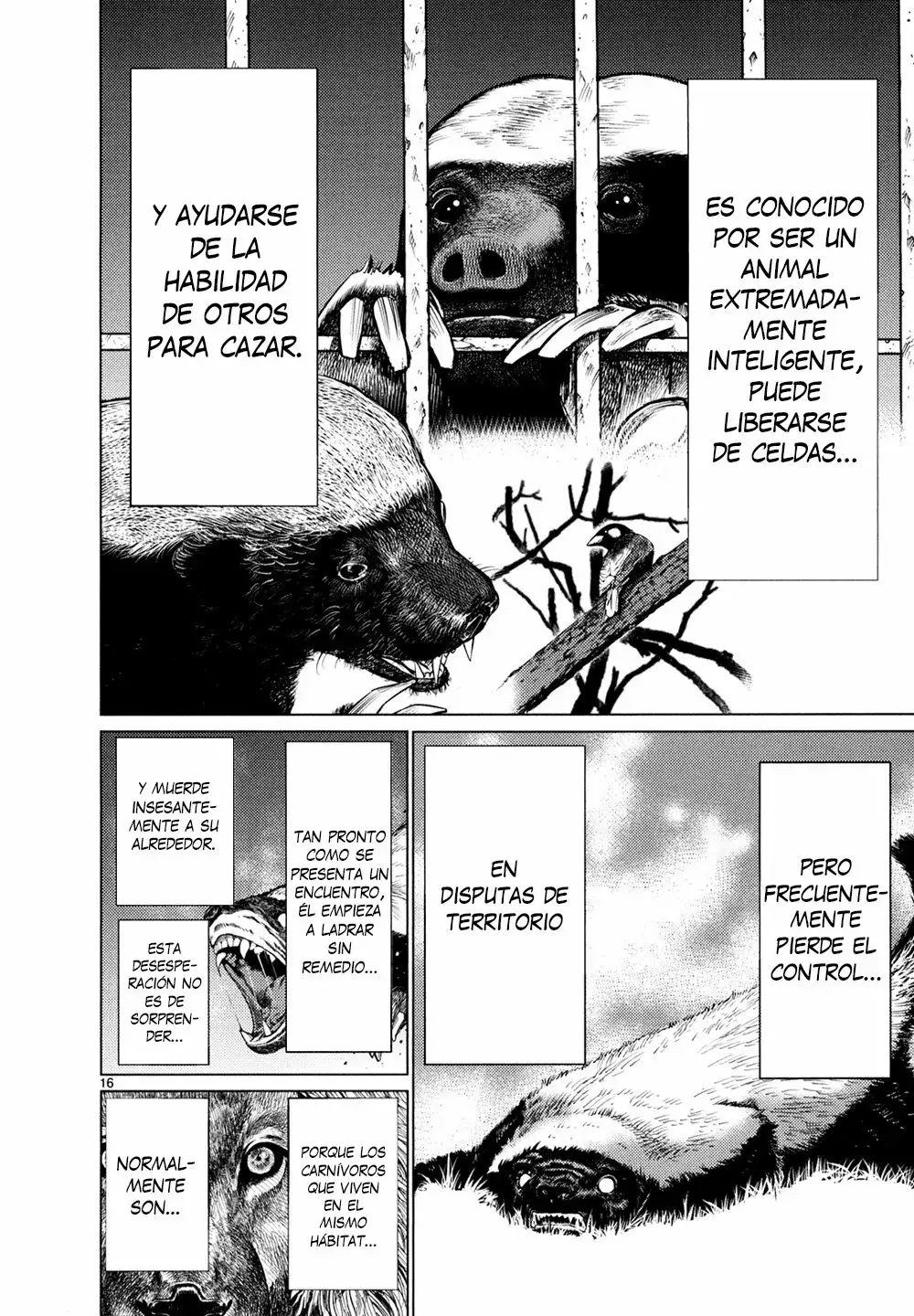 Killing Bites Capítulo 26 - Page 16