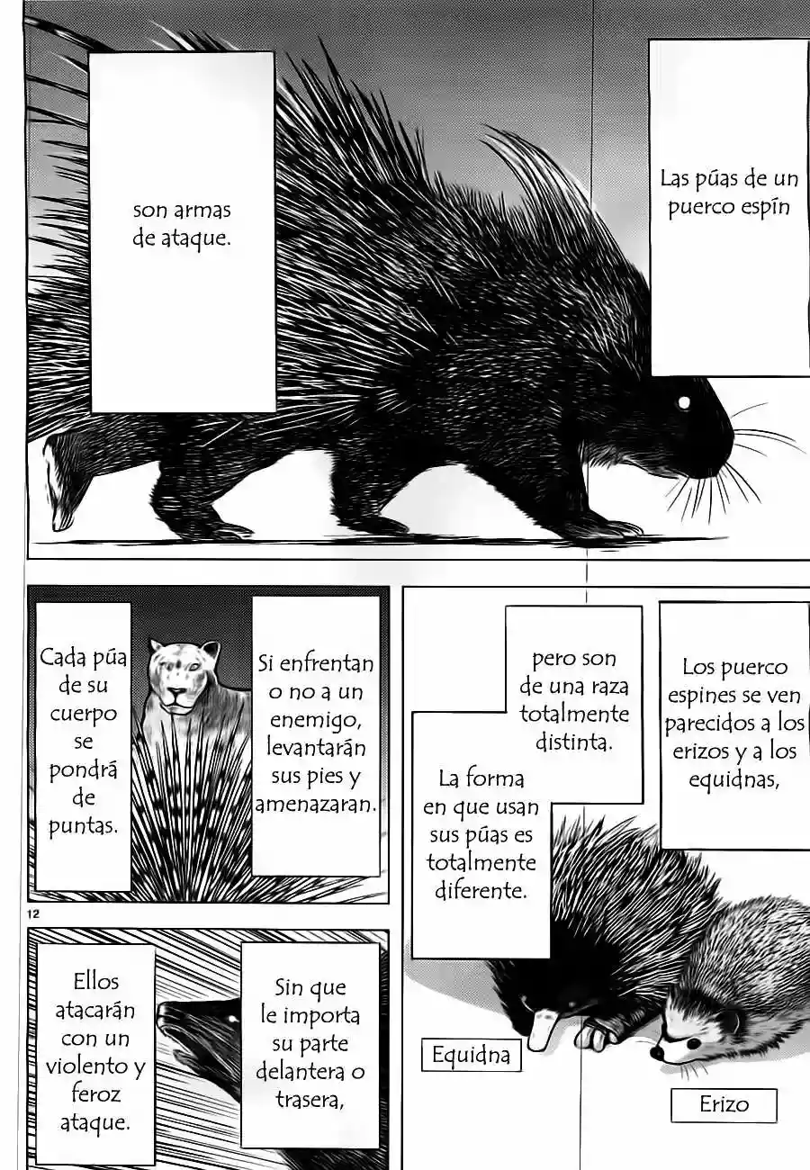 Killing Bites Capítulo 3 - Page 12