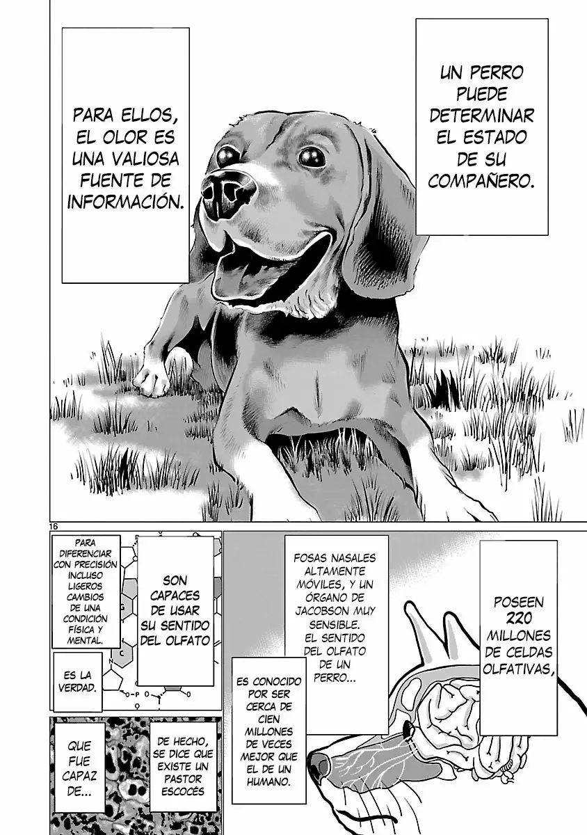 Killing Bites Capítulo 37 - Page 17