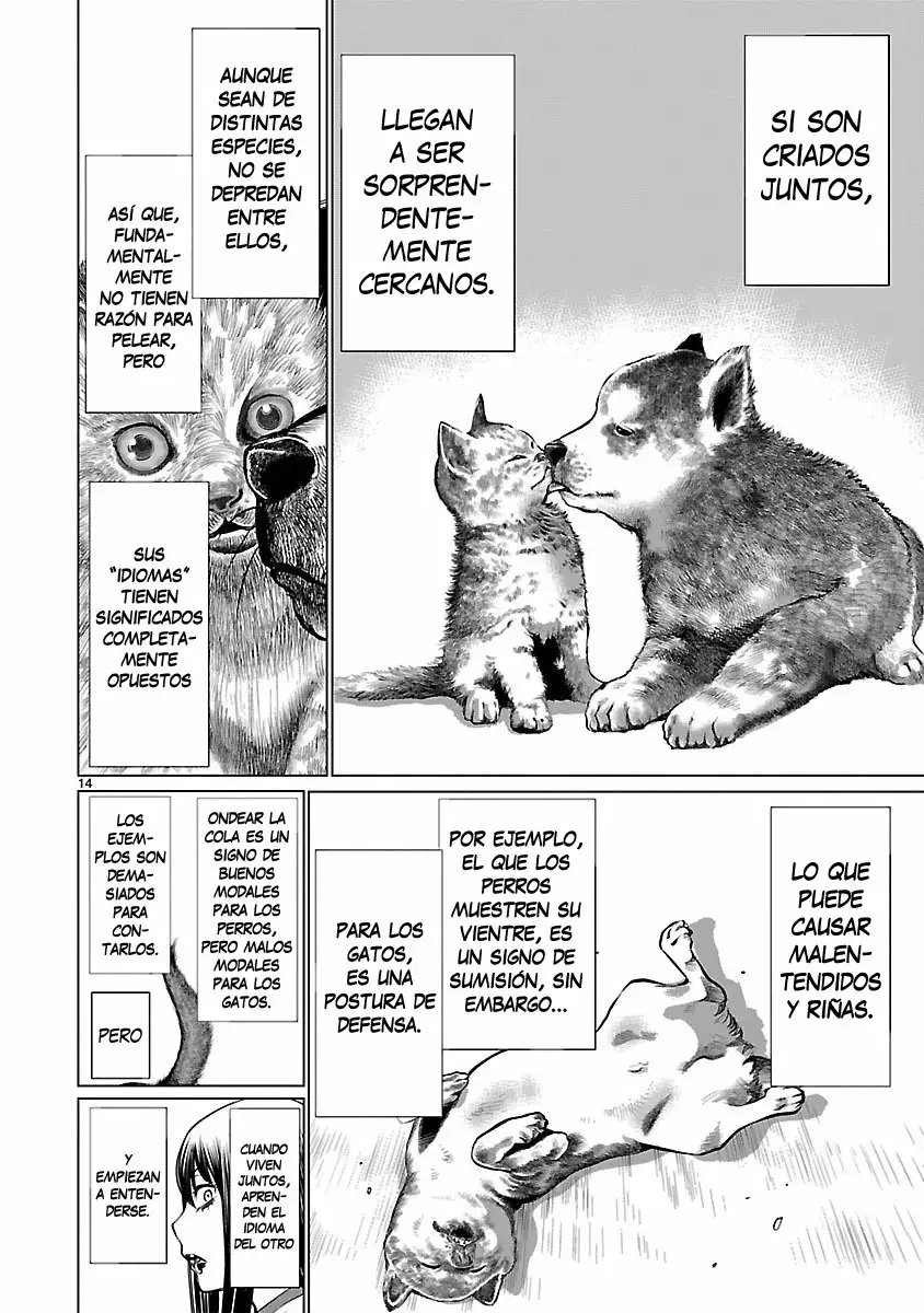 Killing Bites Capítulo 39 - Page 15