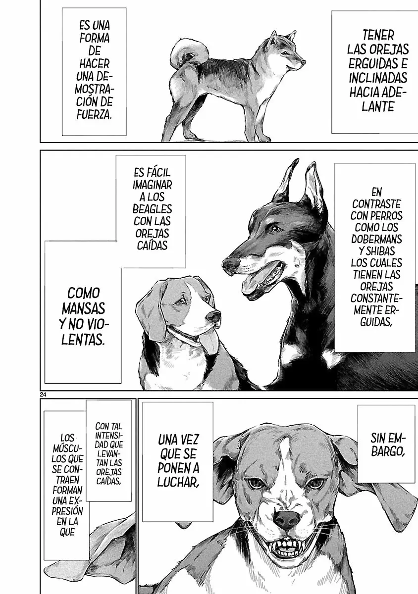 Killing Bites Capítulo 66 - Page 26