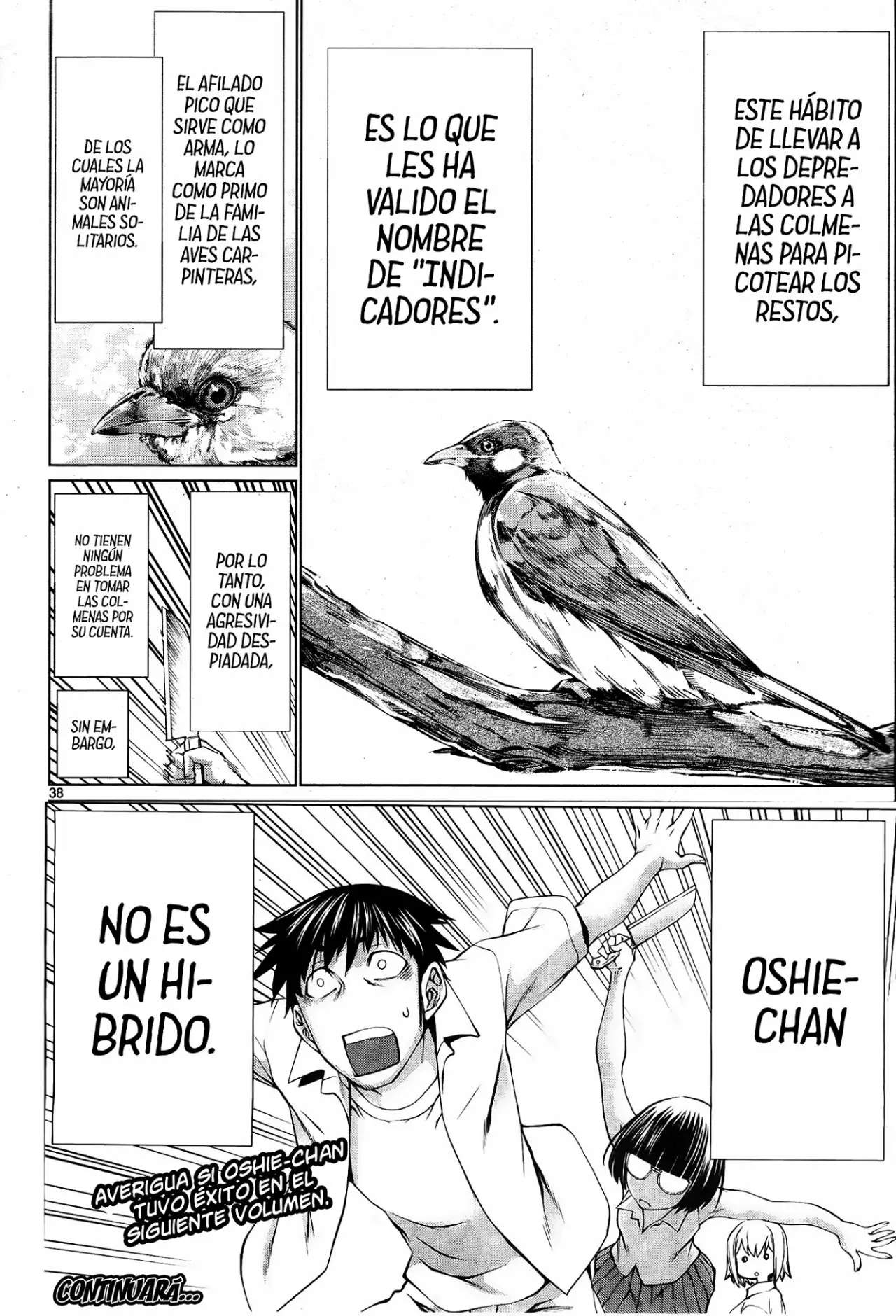 Killing Bites Capítulo 69 - Page 39
