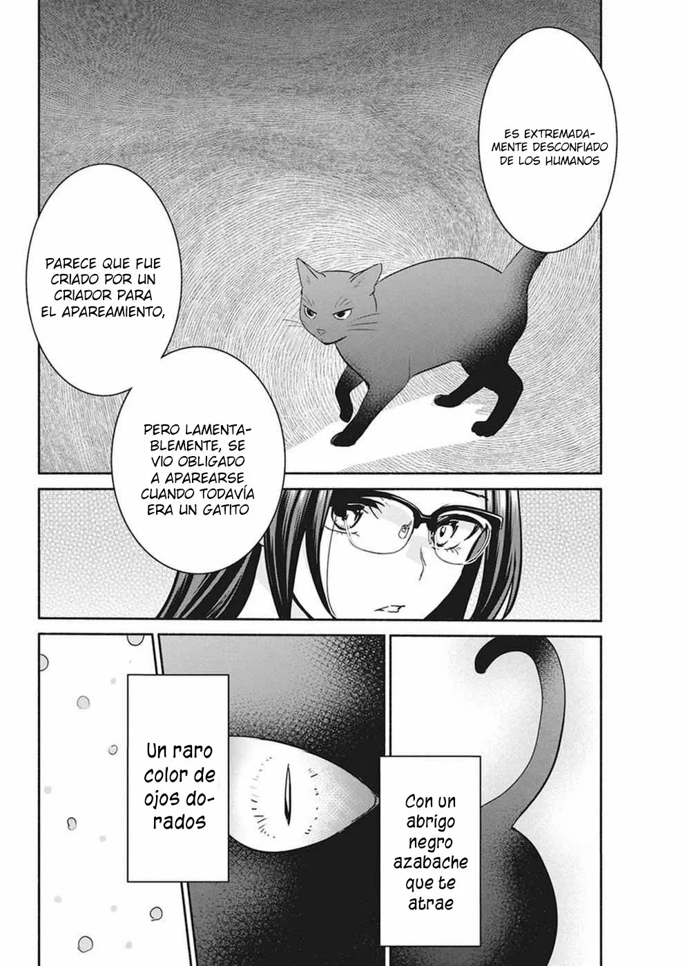 The Life of the Witch Who Remains Single for About 300 Years! Capítulo 18 - Page 14